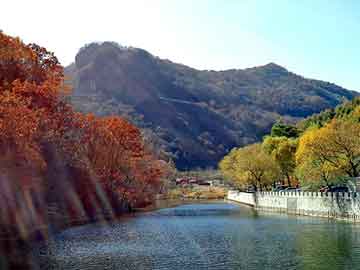 澳门天天免费精准大全，山魈